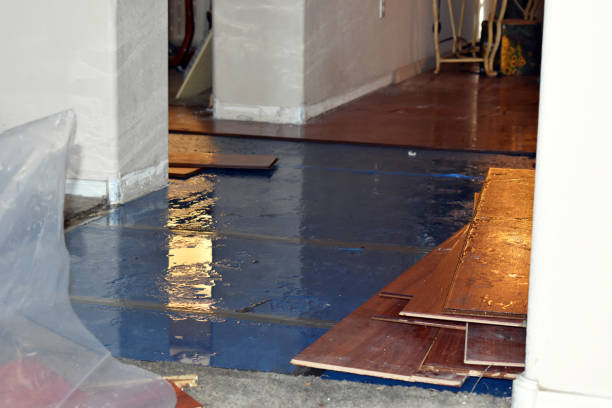 Professional Burst Pipe Cleanup technician working in Midland, VA
